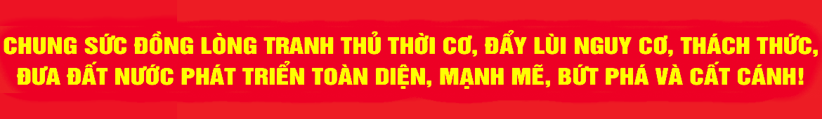 bn5_348b6 bn5_348b6
